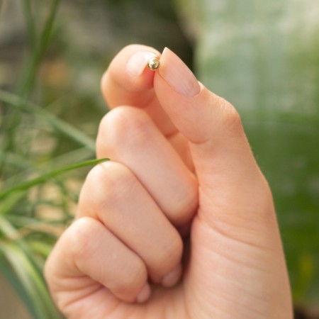 Златни обеци Shine Ball