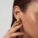 Златни обеци Bottega - BESTSELLERS