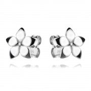 Сребърни обеци Misty