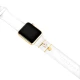 Apple Charm