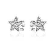 Сребърни обеци Stone Star